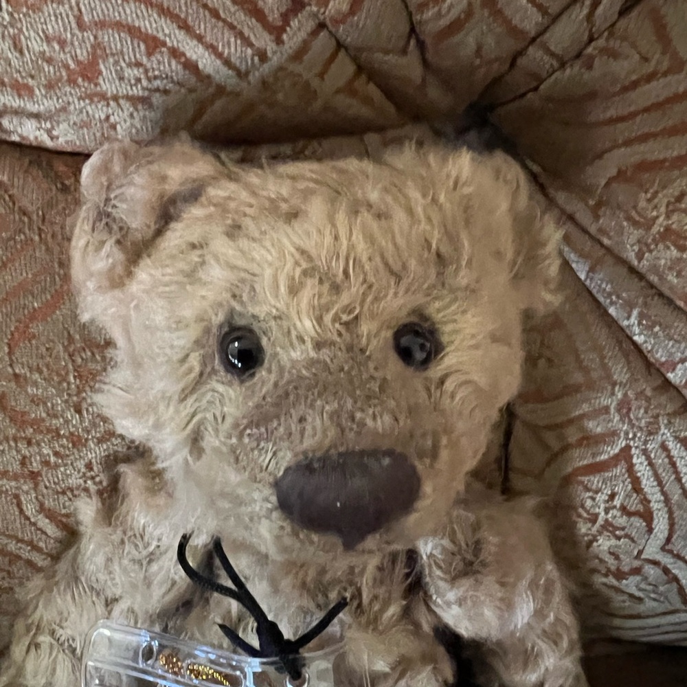 Rare Charlie Bears Scooter Limited Edition #707 of 1200 CB184005.